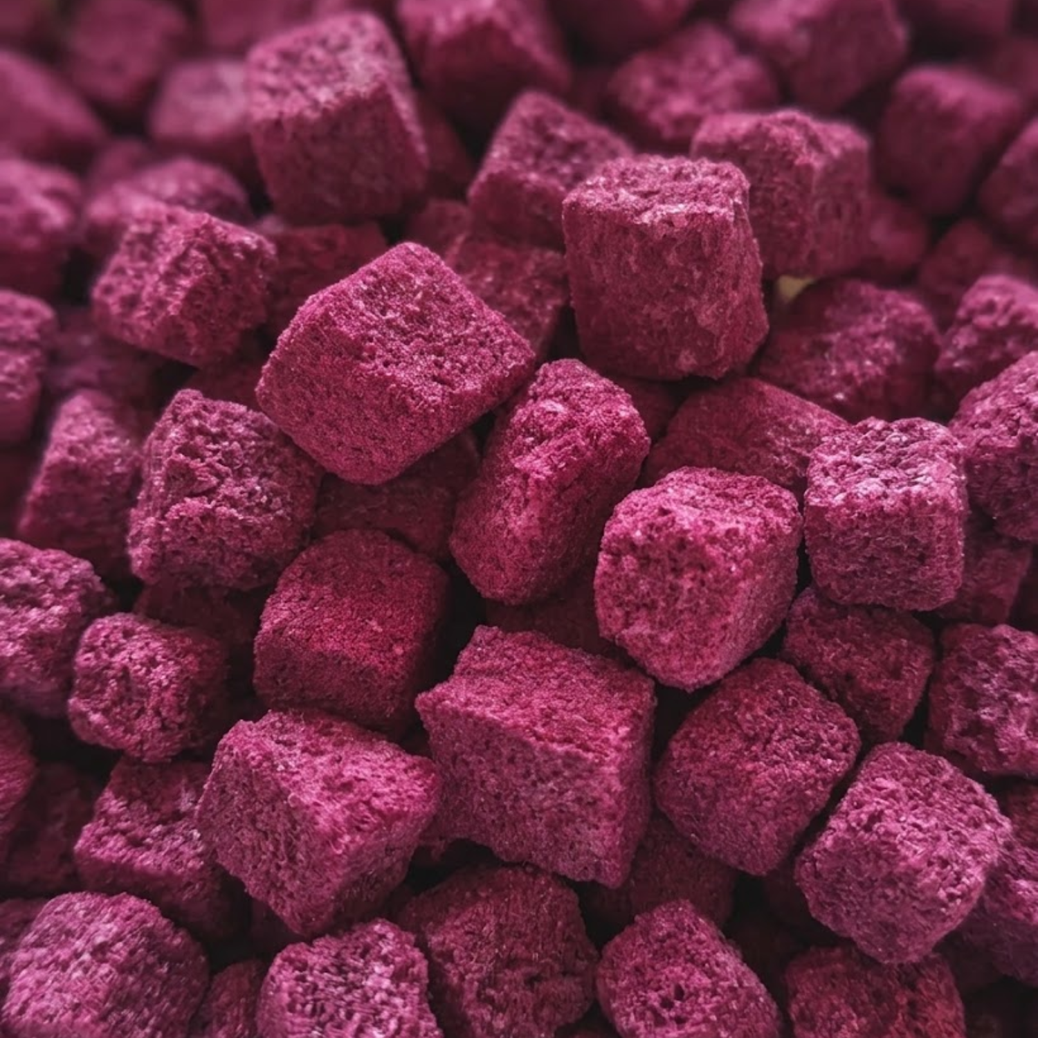 Freeze Dried Indian Black Berry