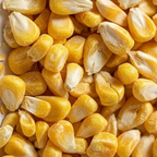 Freeze Dried Sweet  Corn