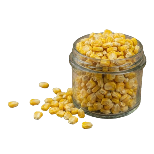 Freeze Dried Sweet Corn