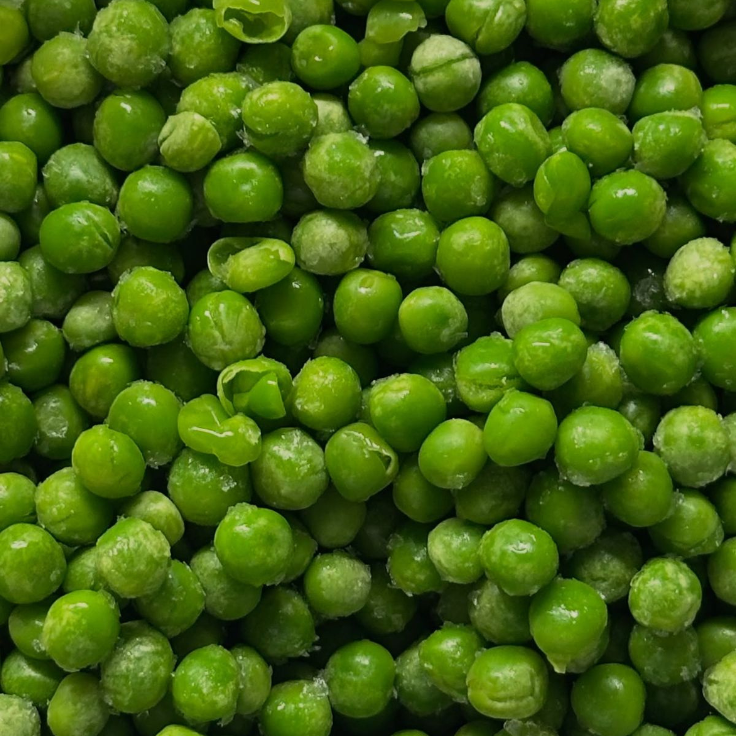 Freeze Dried Green Peas