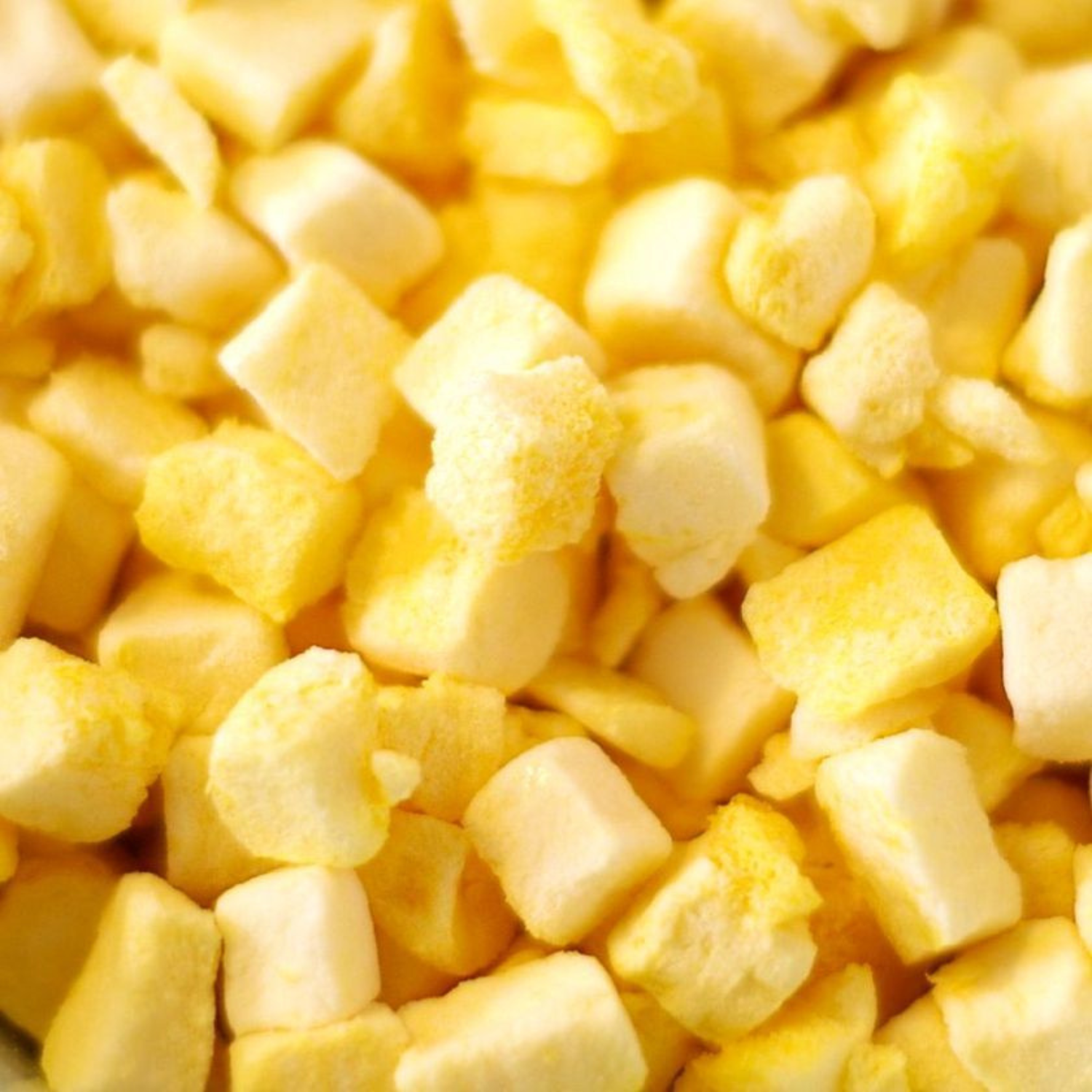 Freeze Dried Mango
