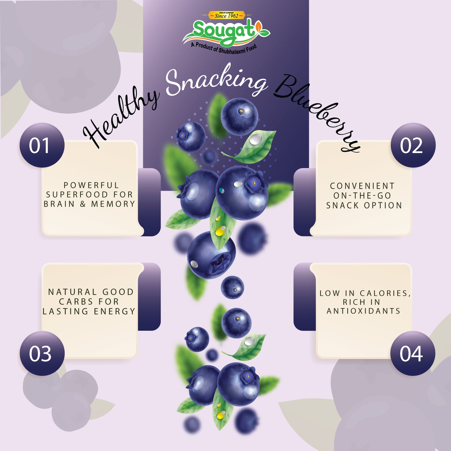 Freeze Dried Blueberry