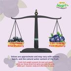 Freeze Dried Blueberry