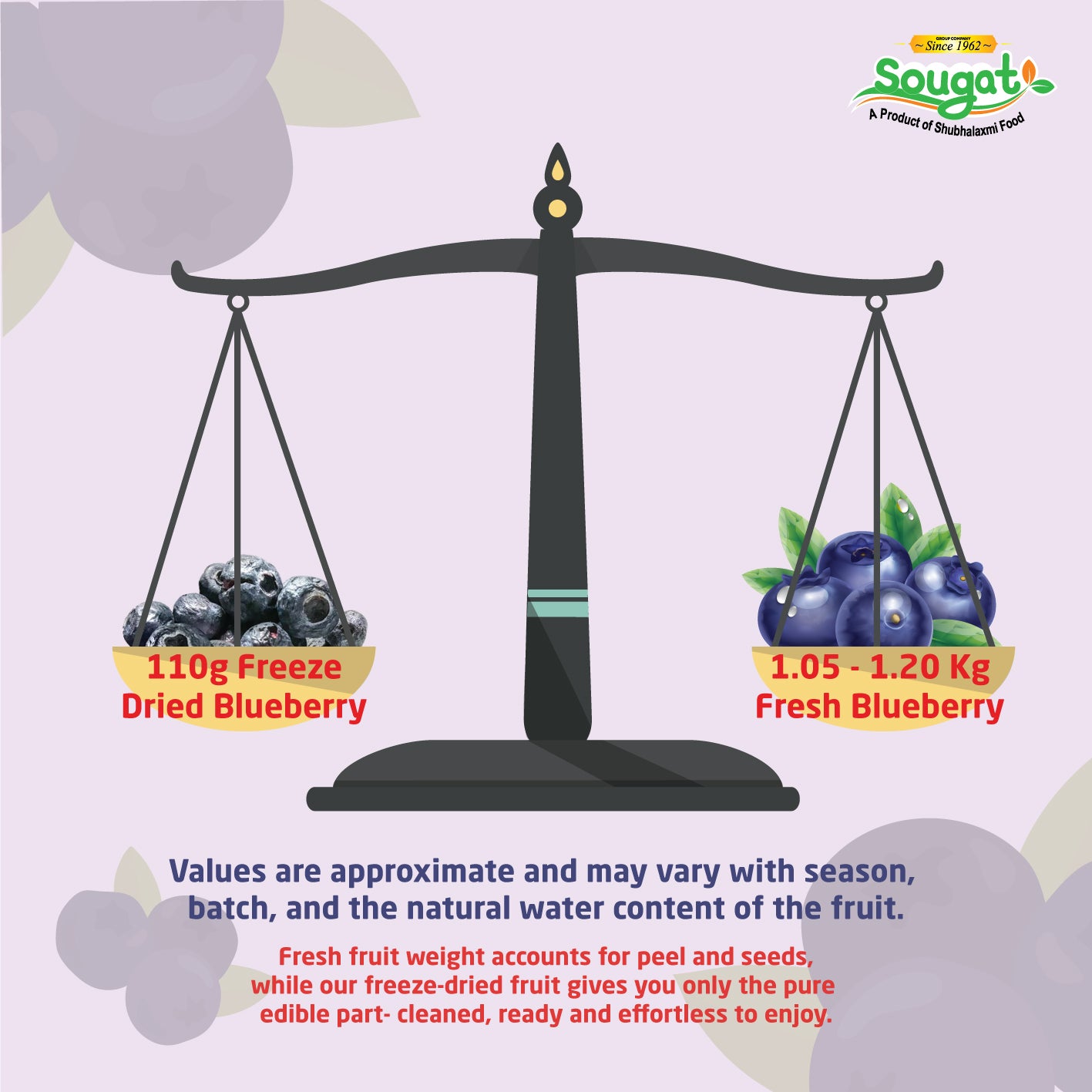 Freeze Dried Blueberry