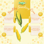 Freeze Dried Sweet  Corn