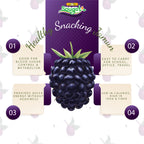 Freeze Dried Indian Black Berry