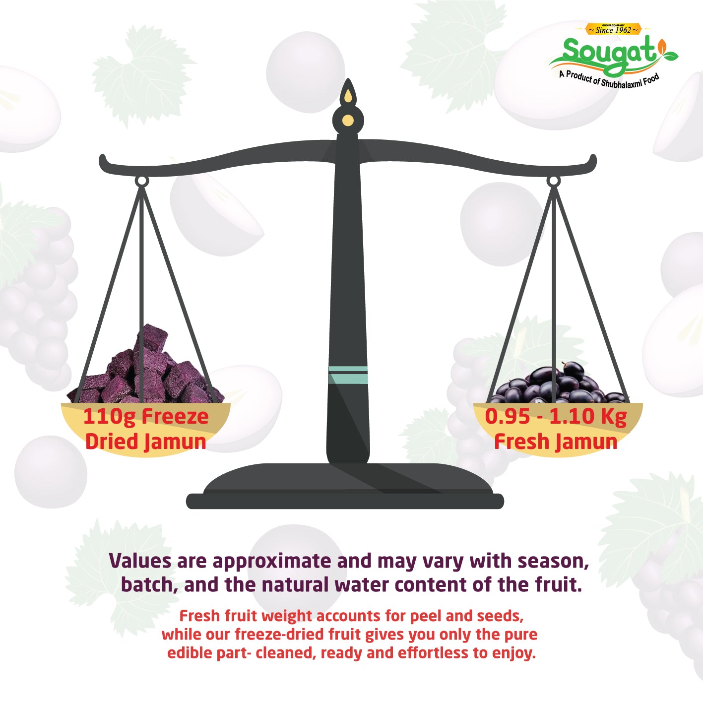 Freeze Dried Indian Black Berry