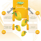 Freeze Dried Mango